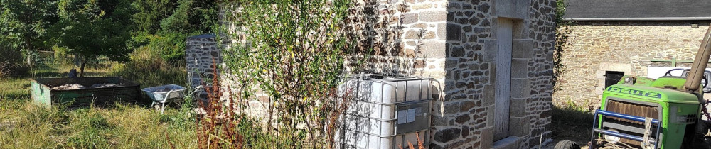 Maxime F. (Le p'tit maçon)