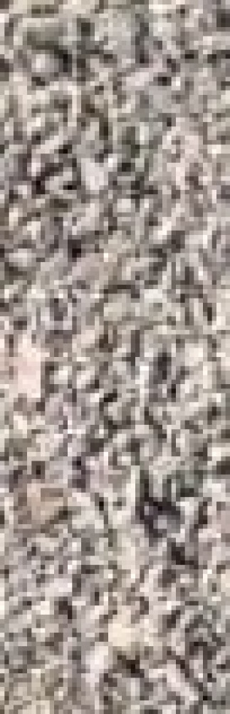 Taylon A. (auto service 58)