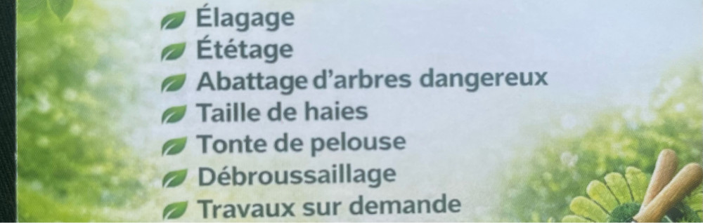 Jessy R. (Jessy Espace Vert)