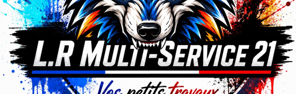 Loic N. (LR Multiservice)