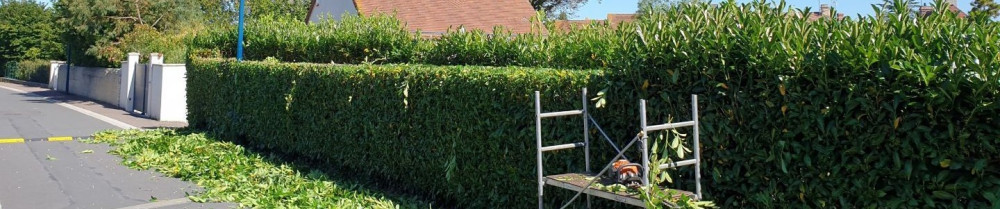 Eugene L. (Lafleur multiservices espac...