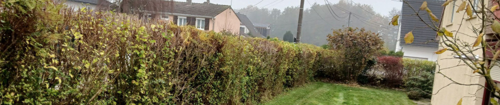 Fernando K. (ste klein Fernando ei)