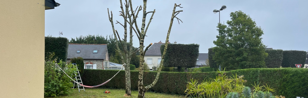 Nicky A. (M.A élagage)