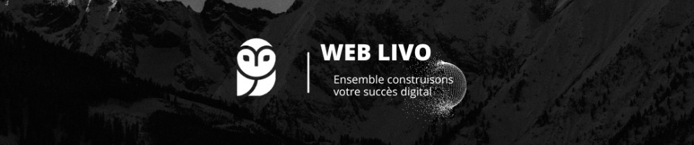 Romain M. (Web Livo)