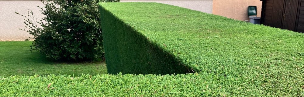 Ludovic P. (Terre et jardin)