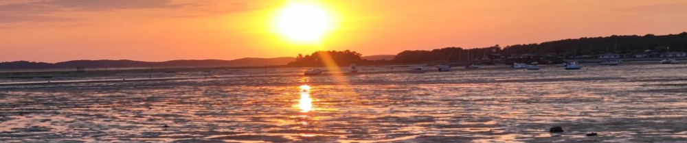 Jean-Luc F. (JLF-MULTISERVICES)