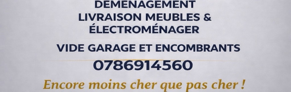 Déménageur N.