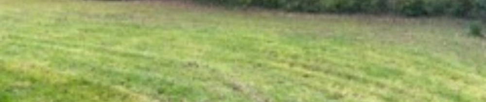 Aaron L. (leclerc green paysage)