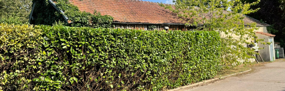 La mésange Jardin et Service