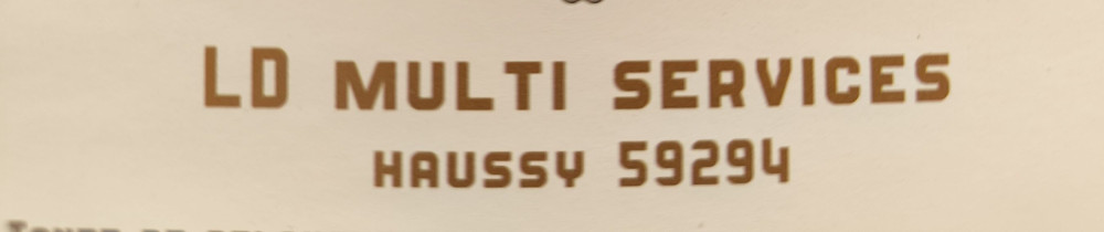 Damien L. (LD Multi services)