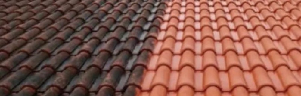 David Y. (David couverture)