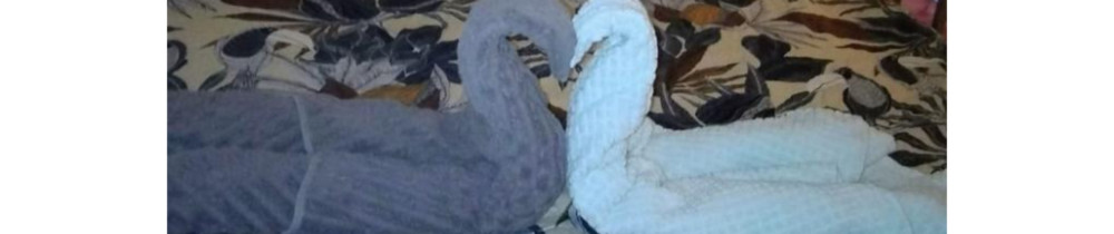 Maria D. (VOUS ET MOI SERVICES DE NETT...