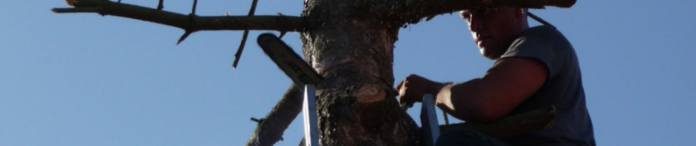 Mickael L. (Mick paysage)