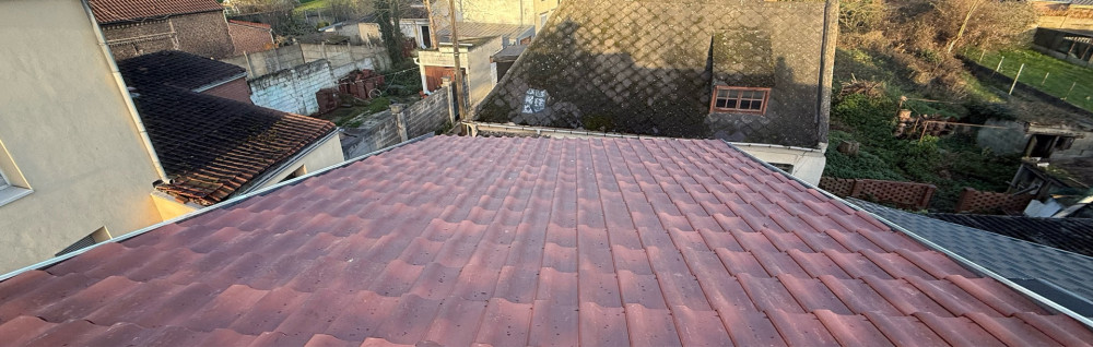 Anthony D. (ad renov)