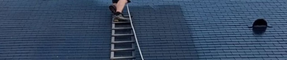 David J. (Reno'conforme)