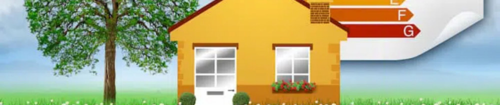 Bernard V. (bernard pro)