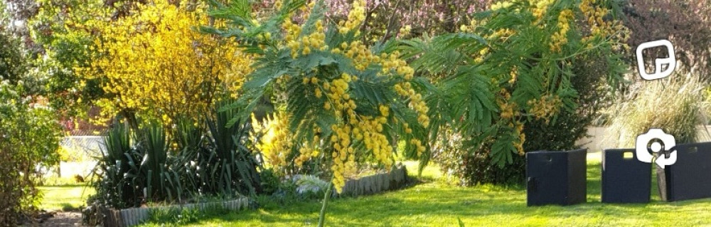 Quentin H. (QH MultiService)