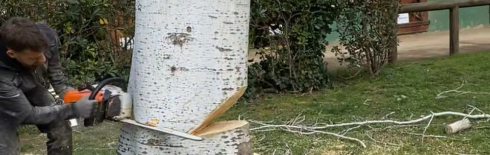 Florent F. (Fabulet Elagage)