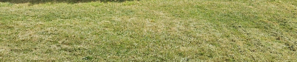 Alex M. (Alex multi-services)