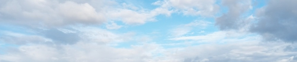 Mariana B. (Rayon de soleil services)