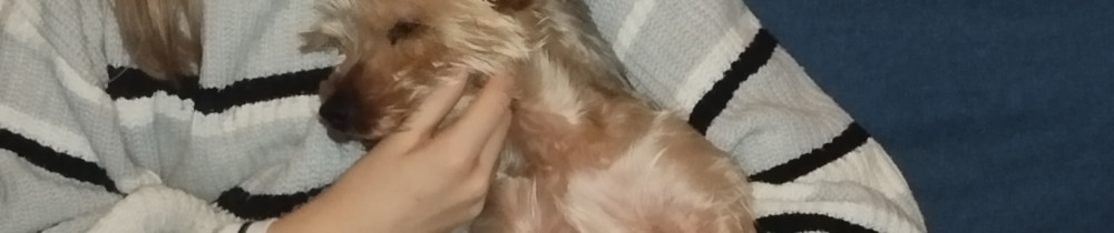 Lidwine L.