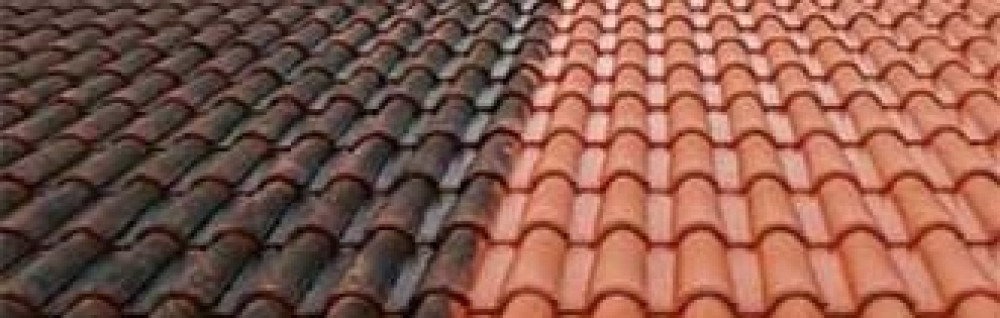 Moise V. (VM HABITAT)