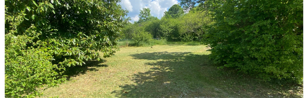 Anthony F. (AF RENOV’)