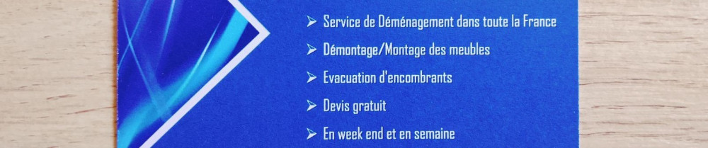 Luis Bobadilla B. (Lucho Services)