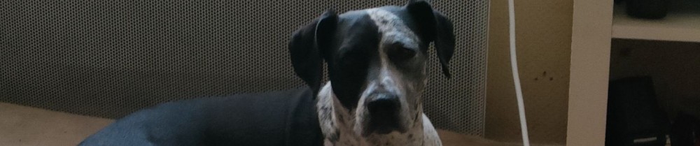 Alexis M. (Ramaalex)