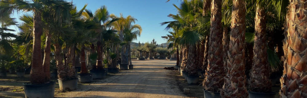 Anthony C. (Vert & pro Entretien Jardi...