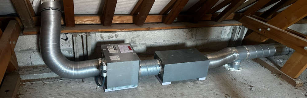 Bechi B. (BS-Service)