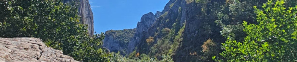 Tamara-Teodora H.