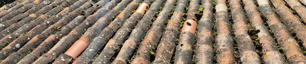 Ferdinand père & fils