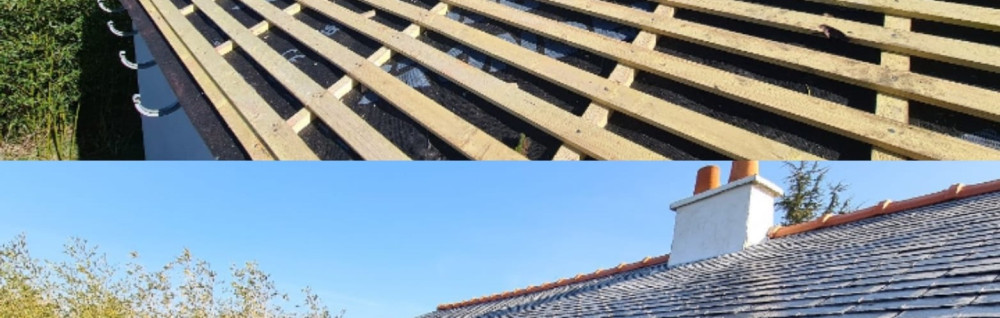 Freddy D. (fdhabitat)