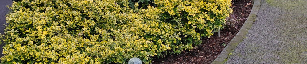 Vincent F. (Vincent Entretien Des Espa...