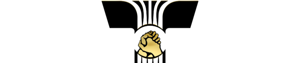 Theo A. (theo All coaching)