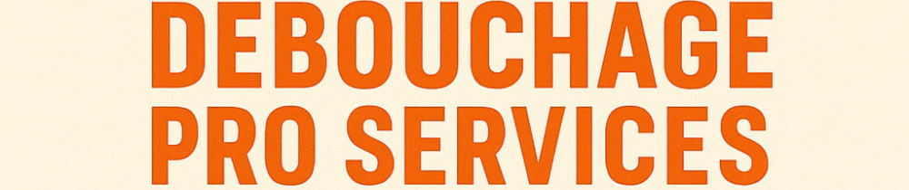 Renaud P. (Débouchage pro services)