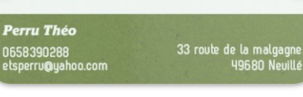 Théo P. (ETS PERRU)