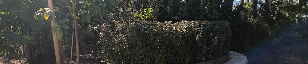 Maxime M. (M & JARDINS)