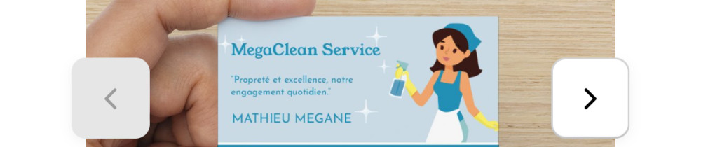 Megane M. (MegaClean Service)