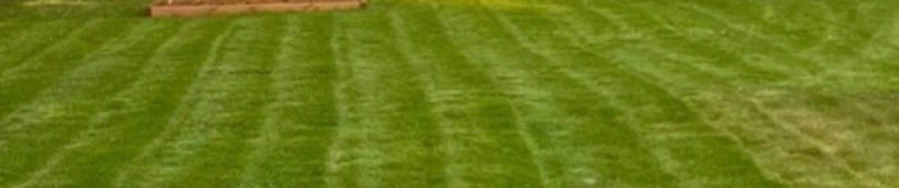 Thomas L. (LT Services)