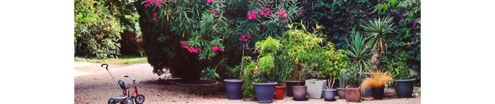 Florent D. (Flo D. Travaux divers (Mul...