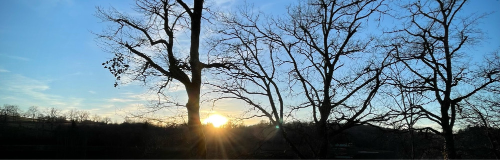 Matthias D. (AUPRES DE MON ARBRE)