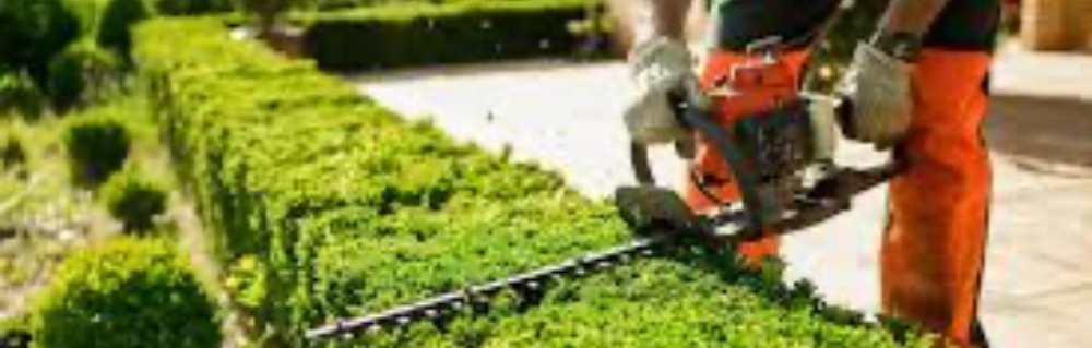 Dylan G. (espaces verts)