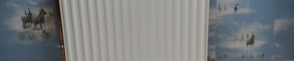 Bob G. (GA Plomberie Chauffage)