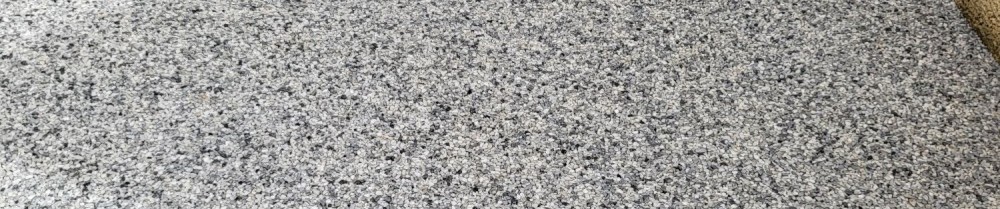 Tony B. (tb multiservice)