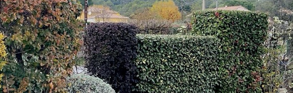 Robin S. (L’art Du Jardin)