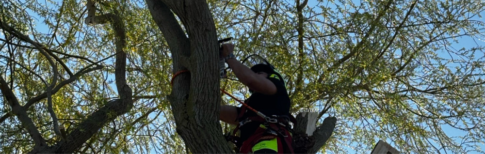 Matteo B. (MB paysage)