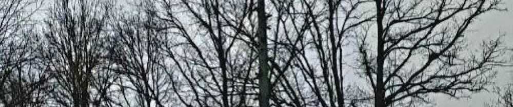 Richard B. (Solution Nature)