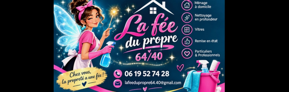 Vanessa D. (La fée du propre 64/40)